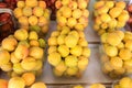 Orange apricots for sale at local city market Royalty Free Stock Photo