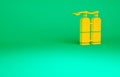 Orange Aqualung icon isolated on green background. Oxygen tank for diver. Diving equipment. Extreme sport. Sport Royalty Free Stock Photo