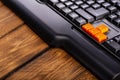 Orange arrow keys on a black keyboard, up, down, left, right buttons on a gaming computer keyboard Royalty Free Stock Photo