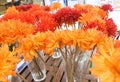 Orange Artificial Gerbera Flowers in Glass Vase
