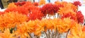 Orange Artificial Gerbera Flowers in Glass Vase