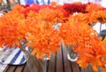 Orange Artificial Gerbera Flowers in Glass Vase