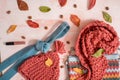 Pale pink gloves, scarf and woolen hat woman winter set on white background Royalty Free Stock Photo