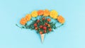 Orange autumn flowers on baby blue background Royalty Free Stock Photo