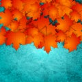 Orange autumn leaves on turquoise grunge wall Royalty Free Stock Photo