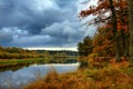 Orange autumn trees on riverbank. Golden Autumn Landscape