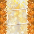 Orange autumnal branch of tree on abstract background