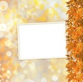 Orange autumnal branch of tree on abstract background