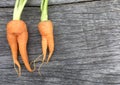 Orange Baby carrot look like woman shape on wooden background and space