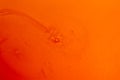 Honey surface texture. Orange color background image. Honey texture with bubbles, close-up.