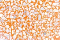 Orange background texture of decoration colorful terrazzo floor