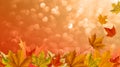 Orange background on the theme of autumn, falling leaves of maple Royalty Free Stock Photo