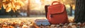 Orange backpack resting near stacked books amid fallen autumn leaves, sunset tree backdrop signaling back to school Royalty Free Stock Photo