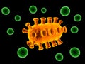 Orange bacteria on green cells