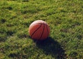 orange ball on the field Royalty Free Stock Photo