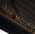 Orange ball get stuck in anti-pidgeons Needles