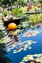 Orange Ball and Lilly Pads Royalty Free Stock Photo