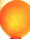 Orange ballon in the sunlight background Royalty Free Stock Photo