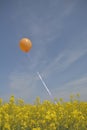 Orange balloon Royalty Free Stock Photo