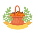 orange in basket fresh fruit emblem Royalty Free Stock Photo