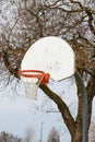 Orange basketball hoop with net outdoors with leafless tree Royalty Free Stock Photo