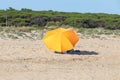 Orange beach umbrella on the beach Royalty Free Stock Photo