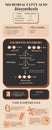 Orange and Beige Minimalist Bacterial Fatty Acid Biosynthesis Metabolic Pathway Science Infographic