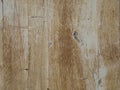 Orange beige planks board natural background