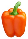 Orange bell pepper Royalty Free Stock Photo