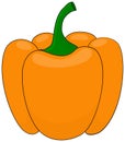 Orange bell pepper clipart. Vector illustration