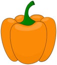 Orange bell pepper clipart. Vector illustration Royalty Free Stock Photo