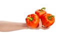 orange bell pepper in hand Royalty Free Stock Photo