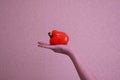 Orange bell pepper in hand Royalty Free Stock Photo