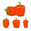 Orange bell pepper,sweet pepper or capsicum