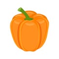 Orange bell pepper vector illustration isolated on white backgro Royalty Free Stock Photo