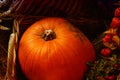Orange big pumpkin ripe smooth physalis red flashlight set of vegetables autumn design Royalty Free Stock Photo