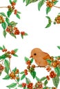 An orange bird on red ripe coffee fruits branches and green leaf illustration seamless vertical pattern, watercolor hand drawing Royalty Free Stock Photo