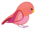 A bird with amazing signs, vector or color illustration