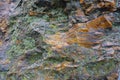 Orange and black stone covered with lichen Royalty Free Stock Photo