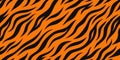 Orange and black tiger stripe pattern Royalty Free Stock Photo