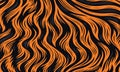 Orange and black tiger stripe pattern. Royalty Free Stock Photo