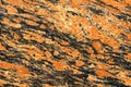 Orange and Black with white spots Granite Texture. Natural stone background