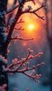 Orange blaze against a backdrop of frosted branches , light, night Royalty Free Stock Photo
