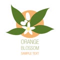 Orange blossom flowers with buds and leaves isolated