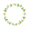 Orange ,blossom and leaf frame on white background.