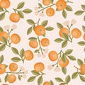 Orange branch, orange blossom, and fruits. Vector seamless wallpaper Royalty Free Stock Photo