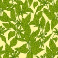 Orange blossom tree pattern Royalty Free Stock Photo