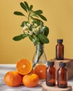 orange blossoms in a vase and fresh mandarins Royalty Free Stock Photo