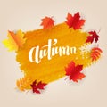 Orange Blot With Autumn Leaves Poster