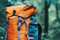 Orange and Blue Backpack in a Forest Setting Royalty Free Stock Photo